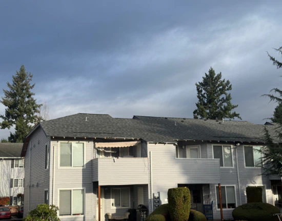 Looking Up Roofing b